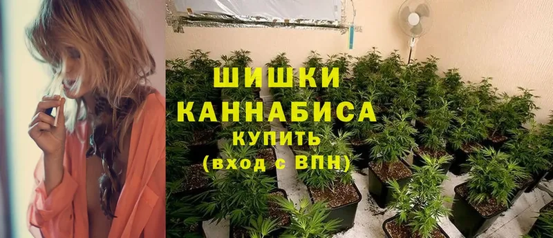 Бошки Шишки White Widow  наркота  Красный Кут 